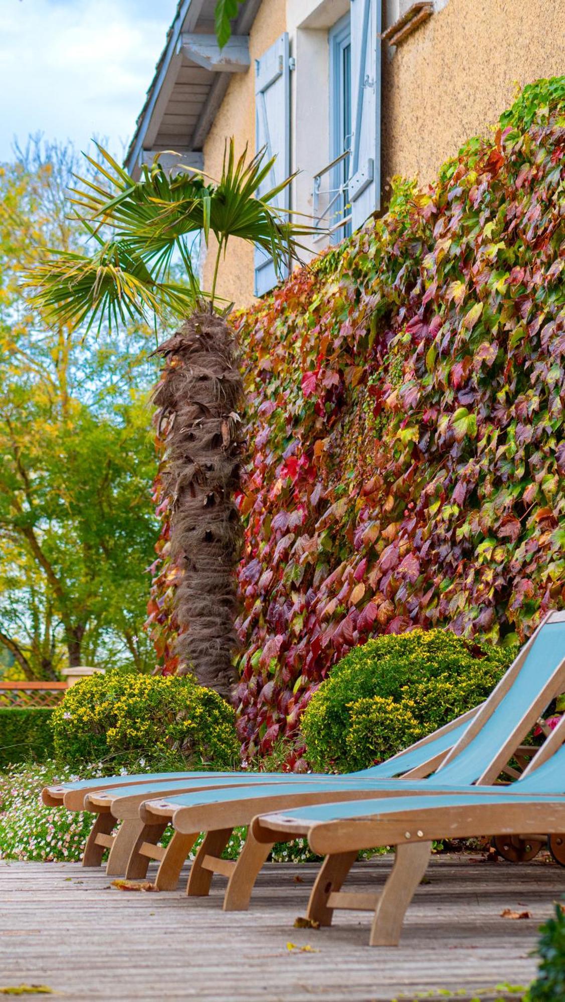 Propriete Le Monneton Bed & Breakfast Sainte-Christie Bagian luar foto